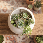 Blumentopf aus glasierter Keramik, rund zur Wandmontage