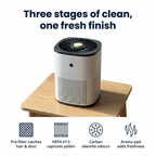 Luftreiniger mit Aktivkohlefilter und Aromafunktion, kompakt