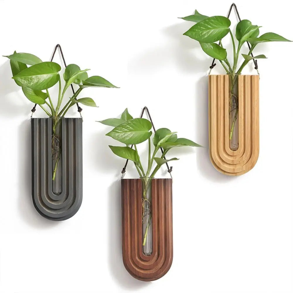Vase aus Glas mit handgefertigtem Holzrahmen zur Wandmontage